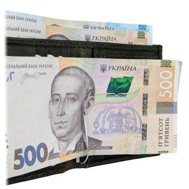 Затиск для грошей Karya. Артикул: KR0940-35. Ціна 920 грн