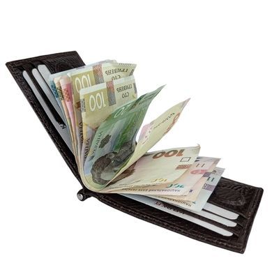 Затиск для грошей Karya. Артикул: KR1-0460-04. Ціна 990 грн