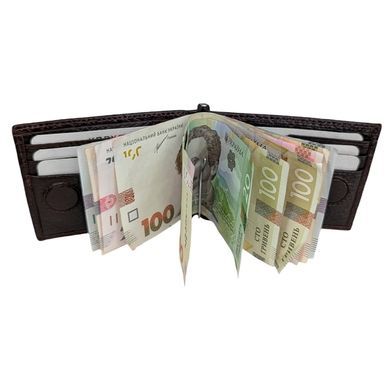 Затиск для грошей Karya. Артикул: KR1-0460-04. Ціна 990 грн