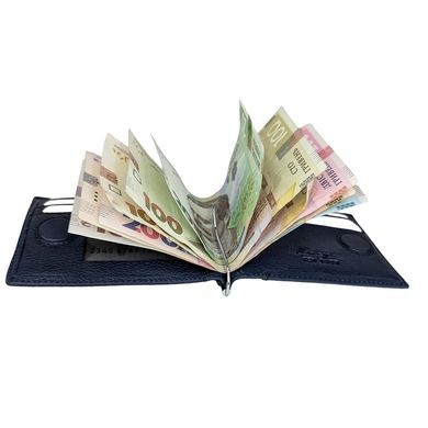 Затиск для грошей Karya. Артикул: KR1-0460-44. Ціна 990 грн