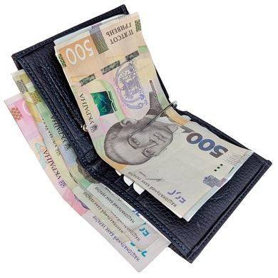 Затиск для грошей Karya. Артикул: KR1-0460-44. Ціна 990 грн